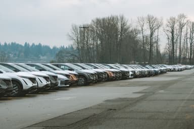 Een lange rij geparkeerde auto's op een terrein, met kale bomen op de achtergrond