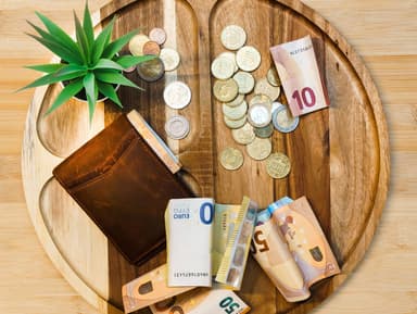 Eurobiljetten, munten en een leren portemonnee op een houten dienblad, met een plantje ernaast